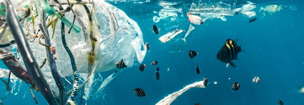 Plastic Waste In Ocean