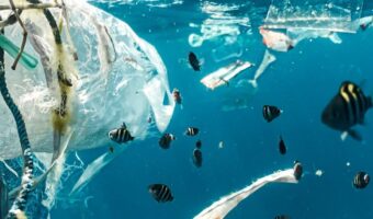 Plastic Waste In Ocean