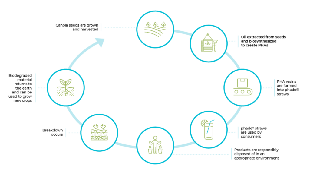 bioplastics straws lifecycle infographic